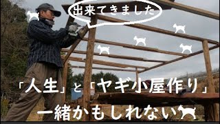 【大丈夫なのか⁉図面を作らずにヤギ小屋作り(￣▽￣;)】～遠くからヤギさんがチェックしてます～