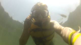 Swimming with the fishes @ Brownstone