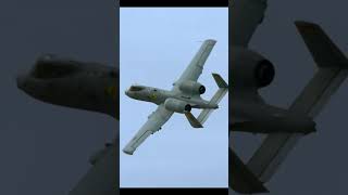 The RARE A-10 \