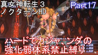 真・女神転生3ノクターンHD　カジャ、ンダの強化弱体系禁止縛り　ハード　Part17