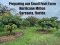 Preparing our Small Farm for Hurricane Milton in Sarasota, Florida - Walk and Talk