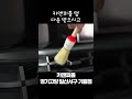 고양시 일산서구 사시죠 shorts