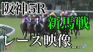 10/30 阪神5R 新馬戦 レース映像