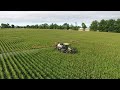 rogator spraying corn