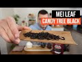 Candy Tree Black from Mei Leaf - Review