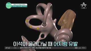 '꽃멀미'를 아시나요? 봄철에 어지럼증이 자주 일어나는 이유(이석증,메니에르병) | 행복한 아침 1077 회