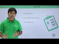 ExpressJS - Database