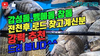 [마탄자TV] 감성돔, 벵에돔, 참돔 전천후 로드 찾고 계신 분 강력 추천 드려 봅니다^^