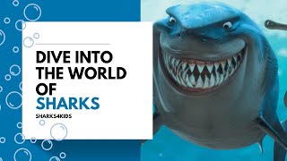 Dive into the World of Sharks | NBTI