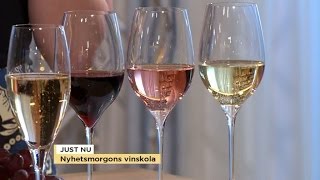 Vinskolan: Det här säger färgen om vinet - Nyhetsmorgon (TV4)