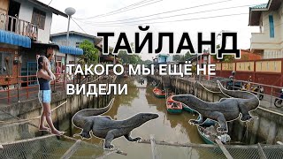 ТАЙЛАНД. Окрестности ПАТТАЙИ. жизнь местных жителей. ФЕВРАЛЬ 2025.