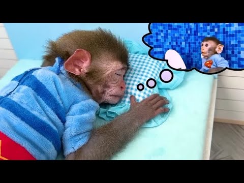 Part 1 Monkey Baby Bon Bon Oes To The Toilet And Plays With Ducklings ...