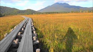 ｢尾瀬　紅葉｣・山ノ鼻から東電小屋まで・2019年9月25日。