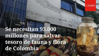 Se necesitan 93.000 millones para salvar tesoro de fauna y flora de Colombia | CAMBIO