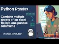 Under 5 Minutes! Use Python Pandas to combine multiple excel sheets/tabs to one Dataframe!