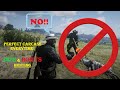 Red Dead Redemption 2 How to hunt perfect carcass!