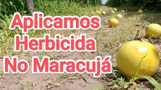 Como aplicar herbicida no Maracujá