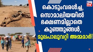 ഒരു ദശാബ്ദത്തിനിടയിലെ ഏറ്റവും വലിയ വരൾച്ച | worst drought | Somalia