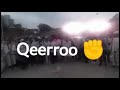 qerro power force