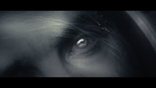 Till Lindemann - Übers Meer (Official Video with English CC/Lyrics/Subtitles)