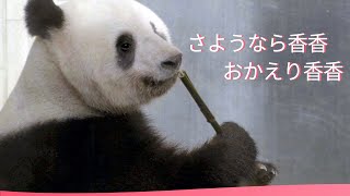 シャンシャンにお別れを告げる | iPanda パンダ楽園