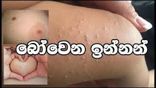 බෝවෙන ඉන්නන් නිවසේදී ඉවත් කරමු