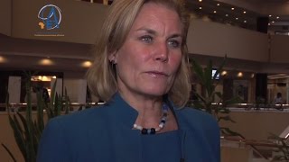 AEC 2014: Swedish Former Minister for International Development Cooperation interview ( Addis Ababa)