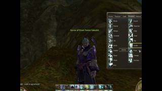 Aion - Beginners Guide ( Basic Info ) By GoGs