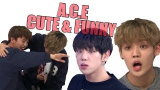 A.C.E CUTE & FUNNY MOMENTS #24