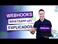 Webhooks: How to Receive Messages with the WhatsApp API