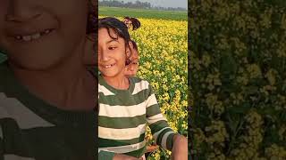 সরিষা ফুল আর প্রাকৃতিক অনেক সুন্দর //Rabea family blog 2025#youtube #জত