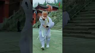 武当拳（Wudang Fist）