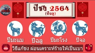 ปีชง 2564  และวิธีแก้ปีชง