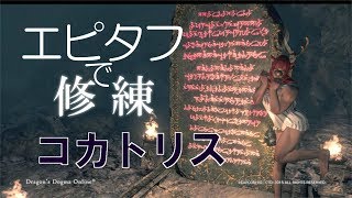 [DDON]エピタフで修練＜コカトリス＞