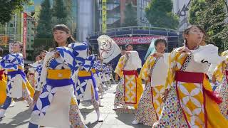 祭会（2017東京よさこい）