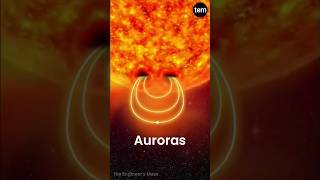 How to Auroras Form? #aurora #earth #sun #science #physics #facts #shorts