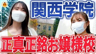 【関西学院大学】キャンパスが超オシャレ！なぜ関学に？？