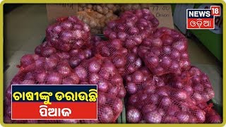 Onion Price Hike: ଖାଲି ବେପାରୀ କି ଖାଉଟି ନୁହେଁ ଚାଷୀଙ୍କୁ ବି ଡରାଇଲାଣି ପିଆଜ