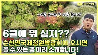 6월에는 뭐 심지 ?? 고민을 해결하러 JB가든센터 큰 맘 먹고 순천만국제정원박람회로 갑니다 !! 보너스 이벤트까지 ! 많이 놀러오세요 ~~!!! [대림묘목농원_JB파트너스]