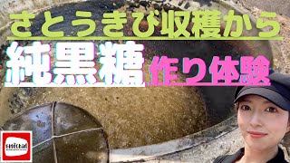 【沖縄】さとうきび収穫から純黒糖作り体験！