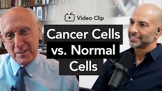 How cancer cells are different from normal cells | Peter Attia, M.D. \u0026 Steven Rosenberg, M.D., Ph.D.