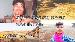 ମୁଇଁ କେନ କମ୍ପାନୀ ରେ କାମ କରସି ଦେଖ #rathuofficialvlogs