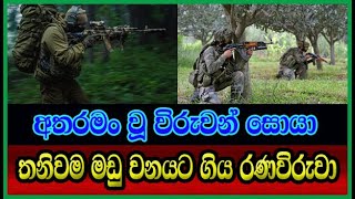 අතරමං වූ විරුවන් සොයා තනිවම මඩු වනයට ගිය රණවිරුවා....