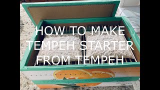 How To Make Tempeh Starter From Tempeh