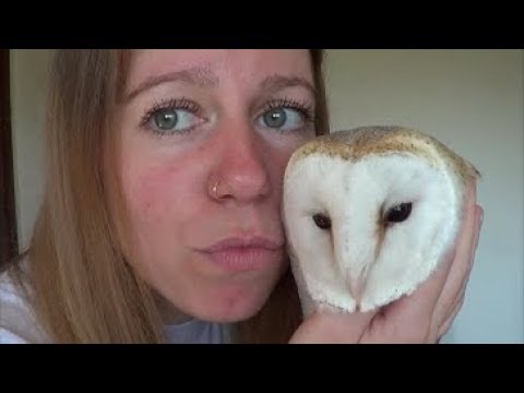 Do owls need water to survive?