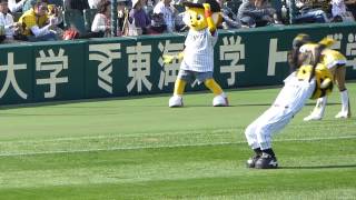 甲子園・トラッキーのバク転