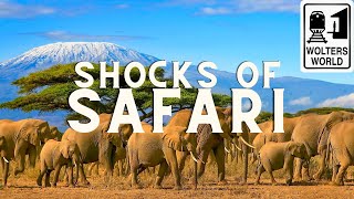 Safari: 10 Things That SHOCK Travelers on Safari