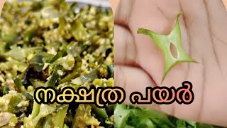 💥💥 നക്ഷത്ര പയർ💫 ആരും കണ്ടാൽ ഞെട്ടും😳കണ്ട് നോക്കു രുചിയൂറും നക്ഷത്രങ്ങൾ ഇതാ വയറിൽ 😋✨