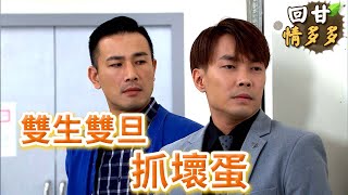 《回甘情多多》EP265 雙生雙旦 抓壞蛋