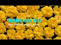 tj노래방 빛나 모아나ost 이정열 tj karaoke